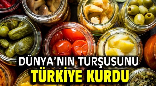 Dünya'nın turşusunu Türkiye kurdu