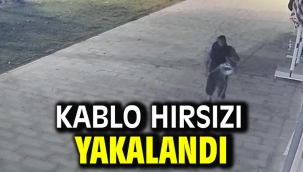 Kablo Hırsızı Yakalandı