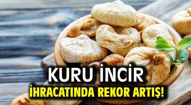 Kuru incir ihracatında rekor artış!