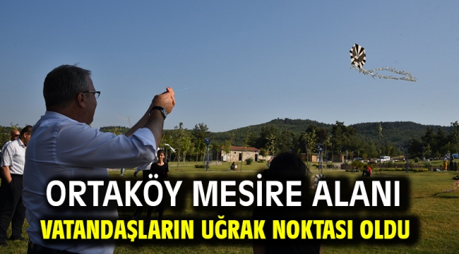 Ortaköy Mesire Alanı Vatandaşların Uğrak Noktası Oldu