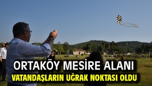 Ortaköy Mesire Alanı Vatandaşların Uğrak Noktası Oldu