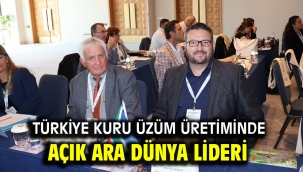 Türkiye kuru üzüm üretiminde açık ara dünya lideri