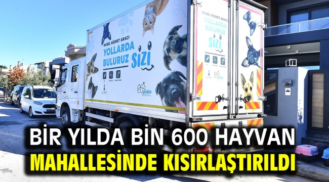 Bir yılda bin 600 hayvan mahallesinde kısırlaştırıldı