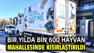 Bir yılda bin 600 hayvan mahallesinde kısırlaştırıldı