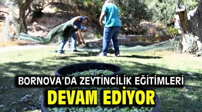 Bornova'da zeytincilik eğitimleri devam ediyor