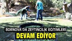 Bornova'da zeytincilik eğitimleri devam ediyor