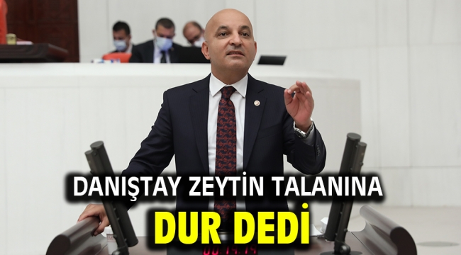 Danıştay Zeytin Talanına Dur Dedi