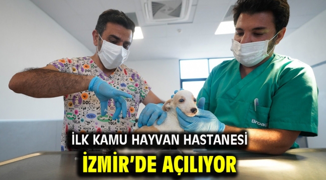 İlk kamu hayvan hastanesi İzmir'de açılıyor