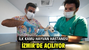 İlk kamu hayvan hastanesi İzmir'de açılıyor