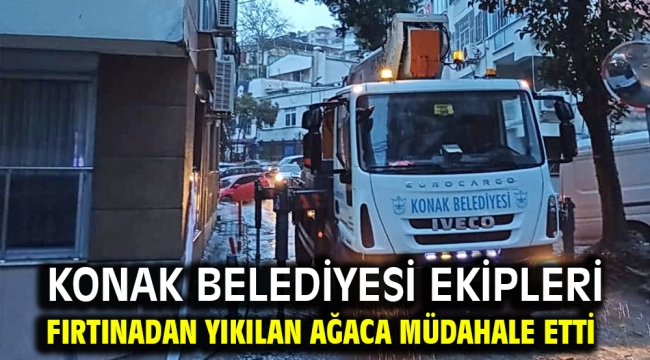 Konak Belediyesi ekipleri fırtınadan yıkılan ağaca müdahale etti