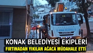 Konak Belediyesi ekipleri fırtınadan yıkılan ağaca müdahale etti