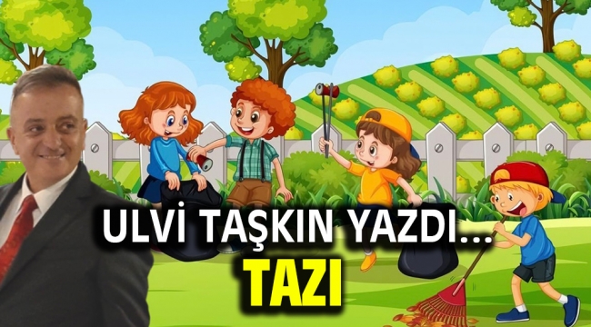 Tazı