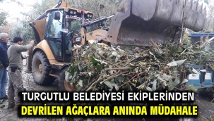 Turgutlu Belediyesi Ekiplerinden Devrilen Ağaçlara Anında Müdahale 