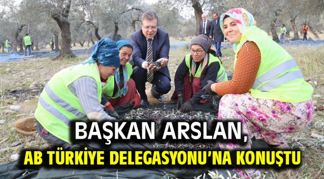 Başkan Arslan, AB Türkiye Delegasyonu'na konuştu