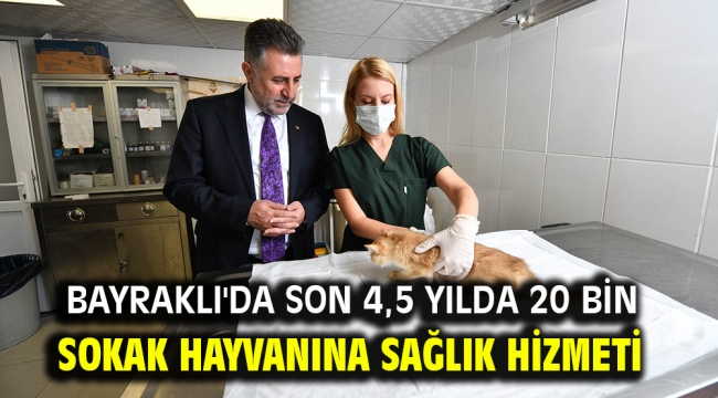 Bayraklı'da son 4,5 yılda 20 bin sokak hayvanına sağlık hizmeti