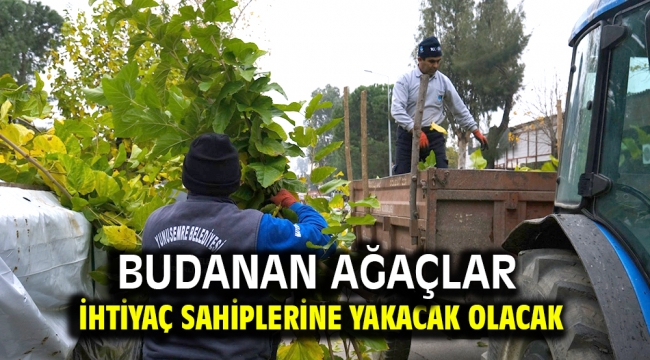 Budanan ağaçlar ihtiyaç sahiplerine yakacak olacak 