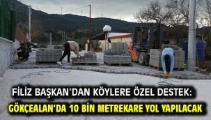 Filiz Başkan'dan Köylere Özel Destek: Gökçealan'da 10 Bin Metrekare Yol Yapılacak