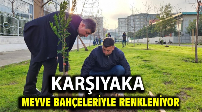 Karşıyaka meyve bahçeleriyle renkleniyor