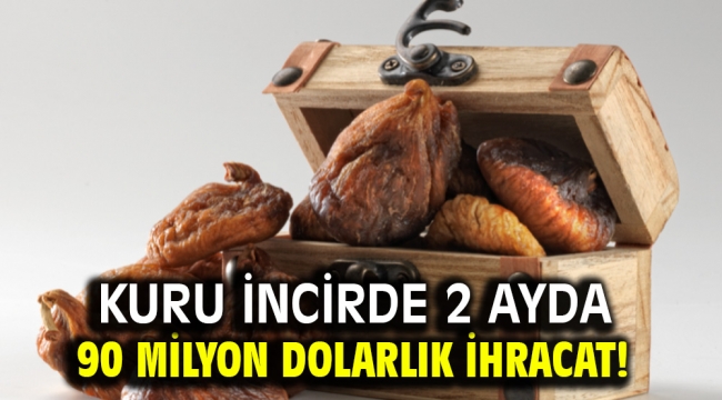 Kuru incirde 2 ayda 90 milyon dolarlık ihracat!