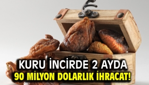 Kuru incirde 2 ayda 90 milyon dolarlık ihracat!