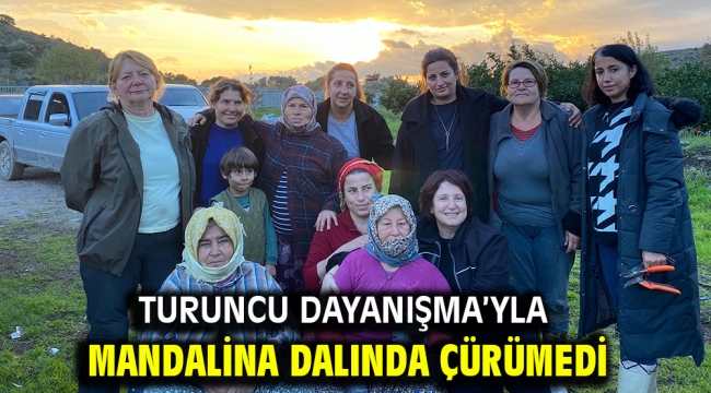 'Turuncu Dayanışma'yla Mandalina Dalında Çürümedi