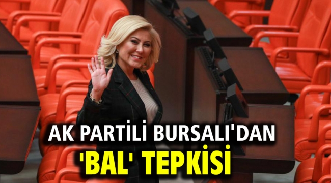AK Partili Bursalı'dan 'BAL' tepkisi