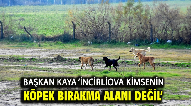 Başkan Kaya 'İncirliova kimsenin köpek bırakma alanı değil' 