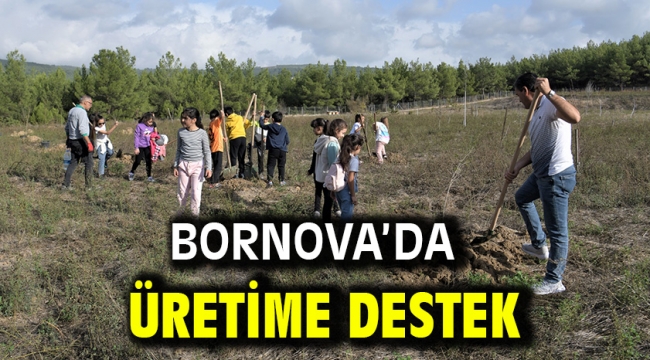 Bornova'da üretime destek