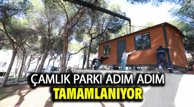 Çamlık Parkı Adım Adım Tamamlanıyor