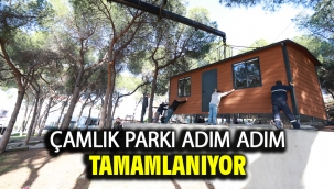Çamlık Parkı Adım Adım Tamamlanıyor