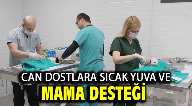 Can dostlara sıcak yuva ve mama desteği