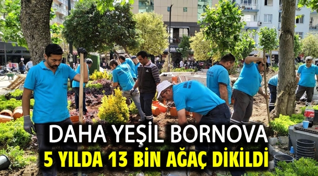 Daha yeşil Bornova 5 yılda 13 bin ağaç dikildi