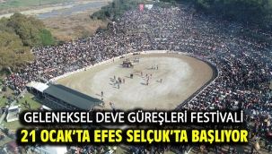 Geleneksel Deve Güreşleri Festivali 21 Ocak'ta Efes Selçuk'ta Başlıyor