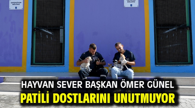 Hayvan Sever Başkan Ömer Günel Patili Dostlarını Unutmuyor