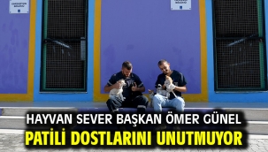 Hayvan Sever Başkan Ömer Günel Patili Dostlarını Unutmuyor
