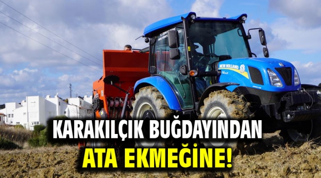 Karakılçık buğdayından Ata ekmeğine!