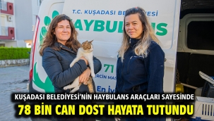 Kuşadası Belediyesi'nin Haybulans Araçları Sayesinde 78 Bin Can Dost Hayata Tutundu