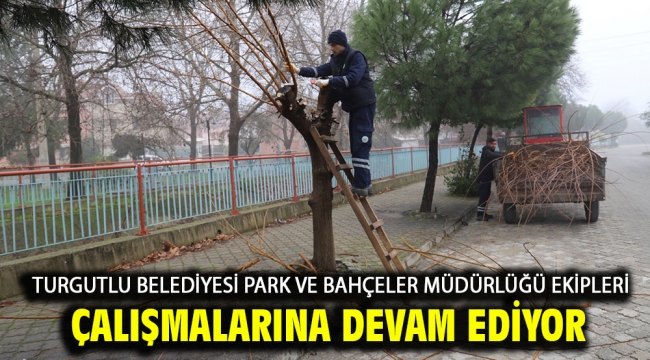 Turgutlu Belediyesi Park ve Bahçeler Müdürlüğü Ekipleri Çalışmalarına Devam Ediyor