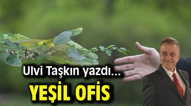 Yeşil Ofis