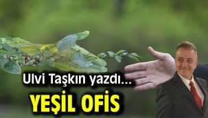 Yeşil Ofis