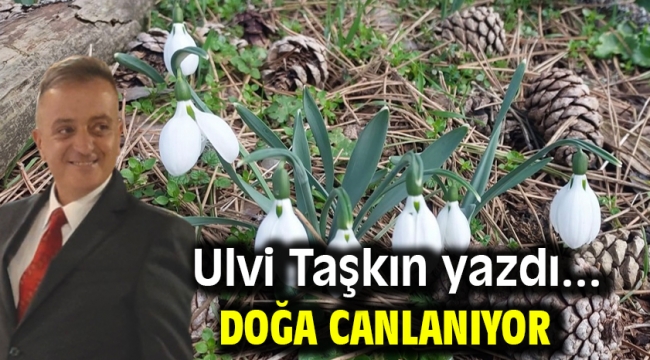 Doğa Canlanıyor