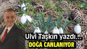 Doğa Canlanıyor