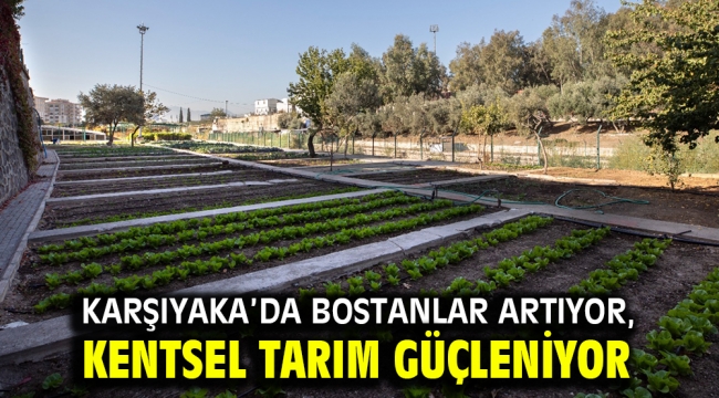 Karşıyaka'da bostanlar artıyor, kentsel tarım güçleniyor