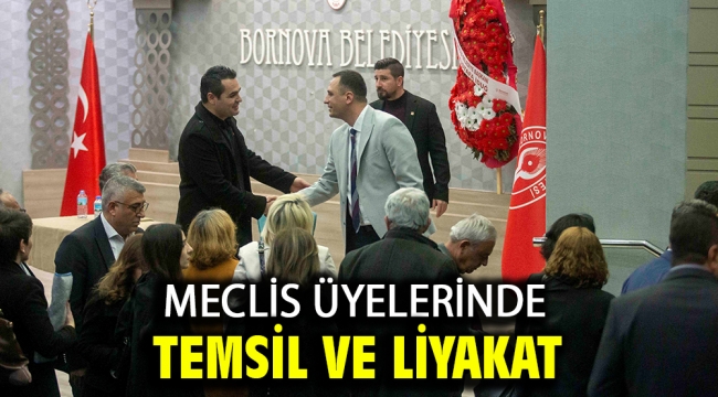 Meclis üyelerinde temsil ve liyakat