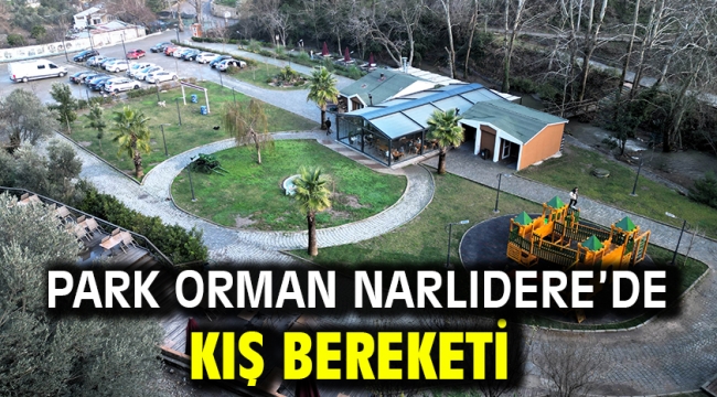 Park Orman Narlıdere'de Kış Bereketi