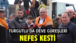 Turgutlu'da Deve Güreşleri Nefes Kesti