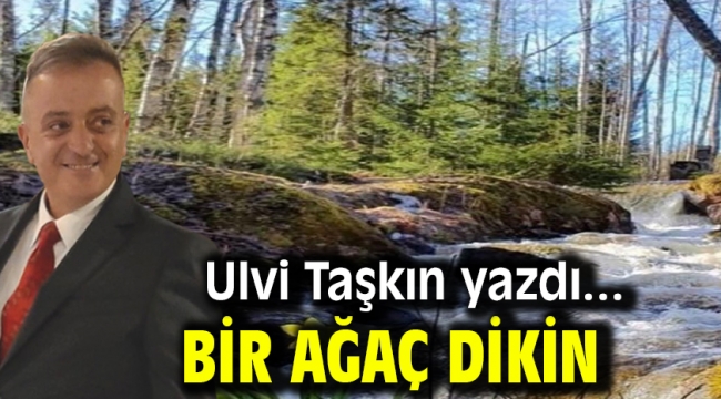 Bir Ağaç Dikin