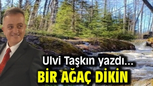 Bir Ağaç Dikin