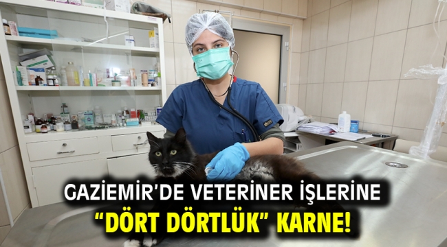Gaziemir'de veteriner işlerine "dört dörtlük" karne!  