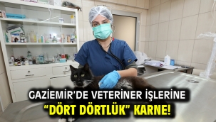 Gaziemir'de veteriner işlerine "dört dörtlük" karne!  